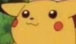 皮卡丘娱乐圈吃瓜,吃瓜群众眼中的萌宠明星